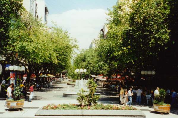 Mendoza's wide tree-lined streets