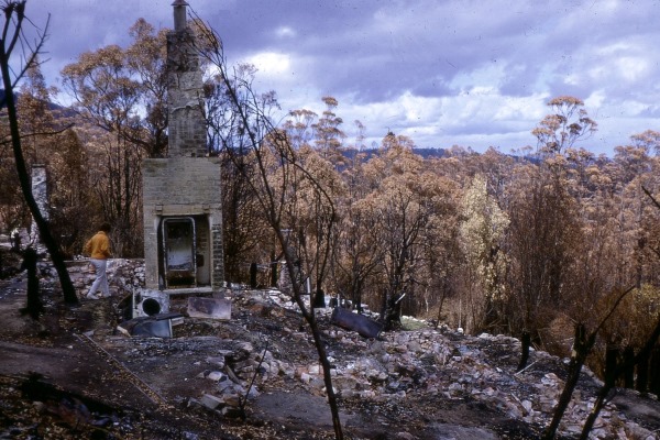 Black Tuesday bushfires 01