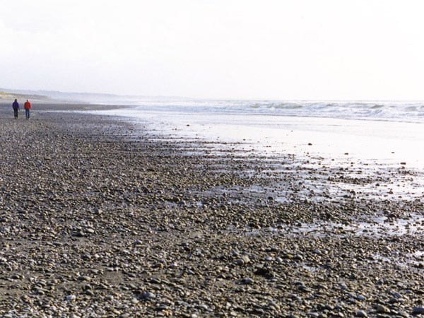 C-to-C-016: Kumara beach.